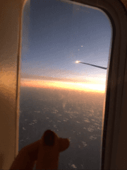 전직 승무원의 비행일기