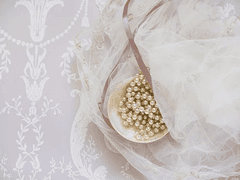 おひめ さま/17/XX