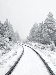 계간졔른 겨울호.