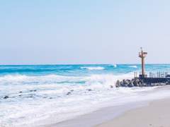 올해도 너와 함께여서 행복했다고 말할 수 있어.