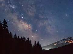 지친 포켓몬 트레이너를 위한 겨울 휴가❄