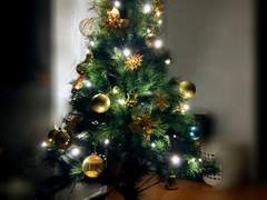 최고의 크리스마스 선물이잖아