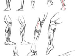 2021년 12월 25일 (토) <다리, 발>