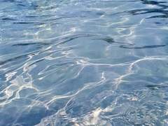 메리 크리스마스