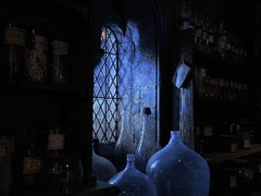 『 대마법사를 계승하시겠습니까? 』