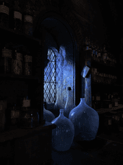 대마법사가 되는 과정을 담은 세계