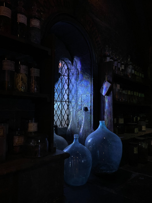 대마법사를 계승하시겠습니까?