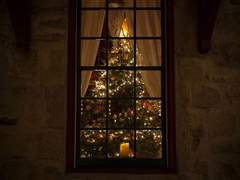 내가 원하는 것은