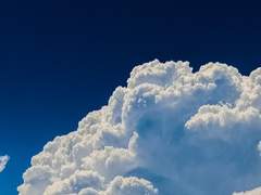 속새커 공개프로필