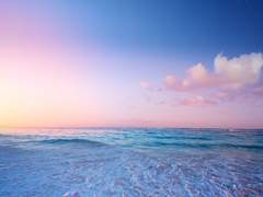 [미카슈] Tu vas perdre la mémoire