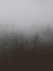 일기와일상과어쩌구