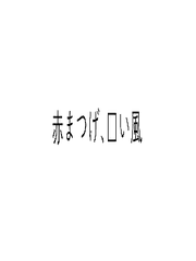 [헤이덴] 붉은 속눈썹, 푸른 바람