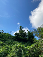 봄을 사랑한 당신