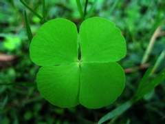 제2강/주제는 양면성을 지녀야...