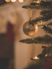 Merry Christmas, _N!