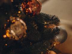 [대진호열] 호랑가시나무새의 사랑