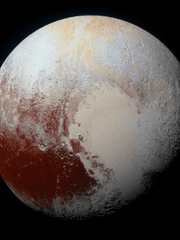 다시 읽어야 할 / 보고 싶은 글