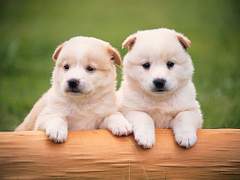 제3강-1/구성 전략을 세워라