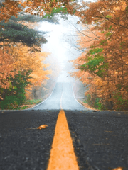 내 인생의 유일한 무계획