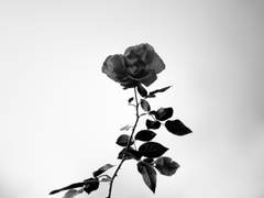 만춘여고 2학년 정도염