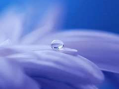 밝게 아름다운.