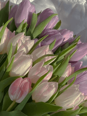 별 하나, 별 둘, 별 셋