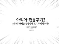 아리아 관통후기2