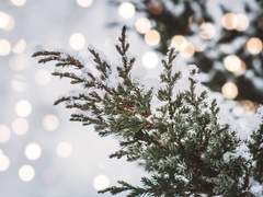 파도 소리는 세이렌의 목소리