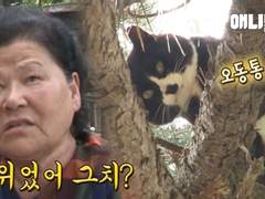 세계 모든 할머니들의 공통점을 기네에게 적용시켜봤다