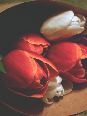 집착광공과 안전이별하는 방법