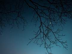 그저 당신의 뜻대로