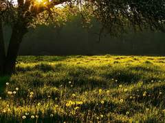 따스한 봄날의 볕처럼