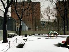 밤의 산책로에서