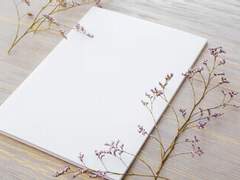 [아이던밀레/톨비밀레] 별을 비추는 것(下)