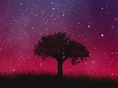 이레 | 모노두 (1차 수정)