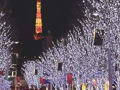 호르몬 1차 투여 7-14일차