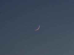 Rin Ardina Queue XX 그리핀도르 혼혈