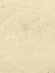 친애하는 J에게