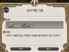 Lv. 70 감과 백동 거울