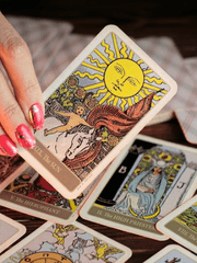 부엉이 운명상담소