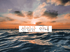 화산귀환 논커플링 개인지 샘플