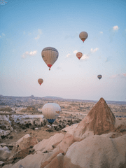 드림 설정 모음집