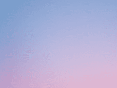 같은 하늘 아래에서