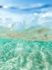 장인은 도구를 가리지 않는다(RE)