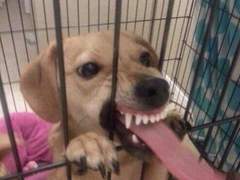 평범하게 살고싶어 ! +