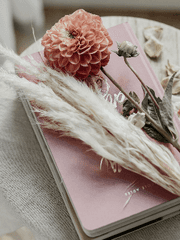 피그말리온 레이디