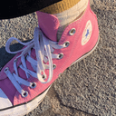 상주산한라봉왕귤