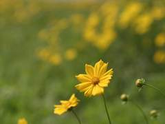 졸업 이후 상행 직전
