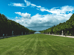 이상한 애. 에필로그(5)