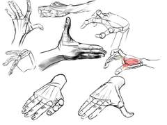 2021년 12월 28일 (화) <손>